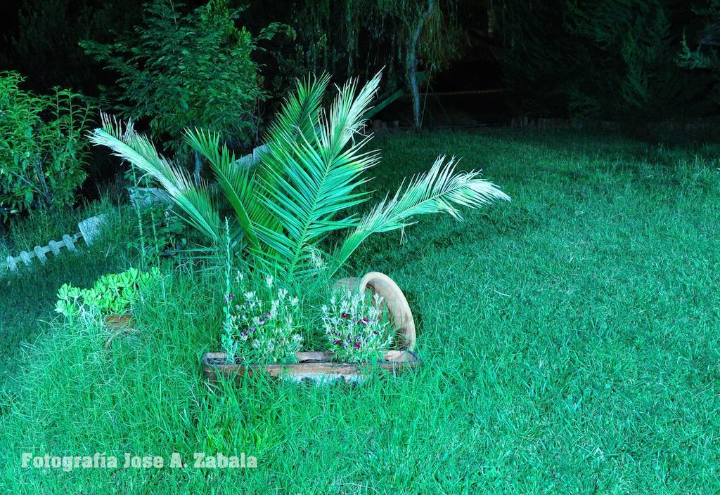 Casa Rural Los Parrales El Tranco 外观 照片